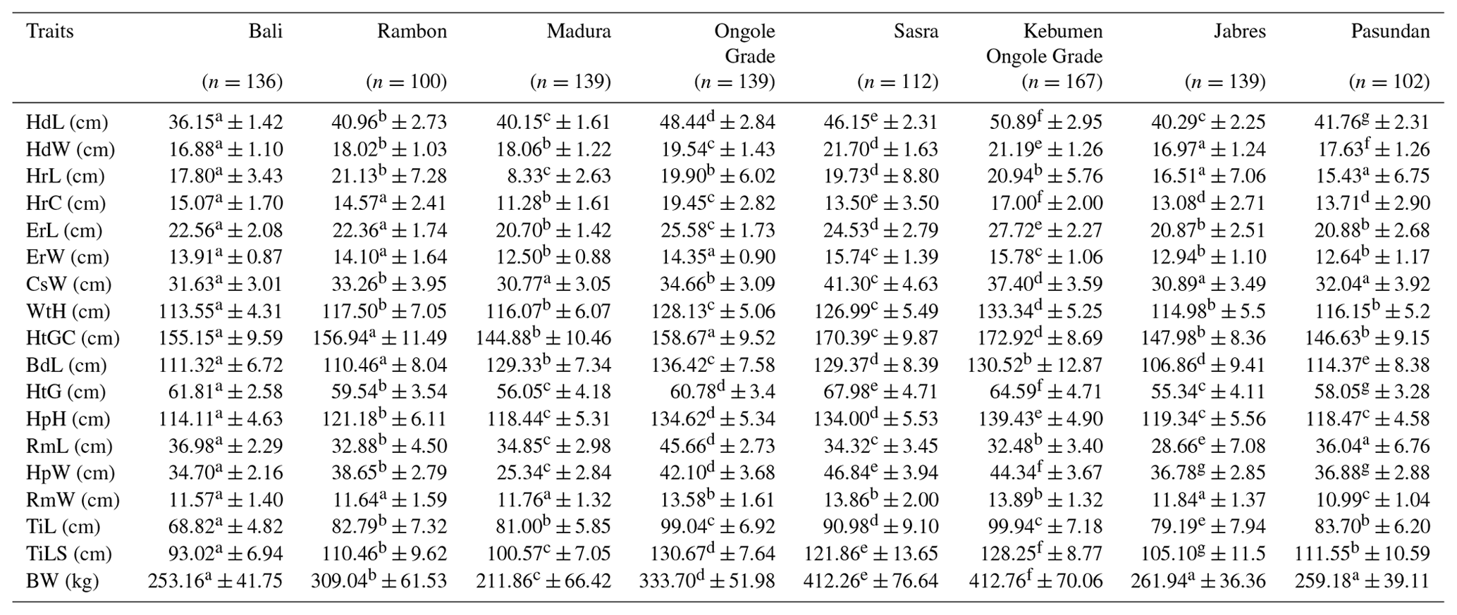 AAB Morphometric And Physical Characteristics Of Indonesian Beef Cattle