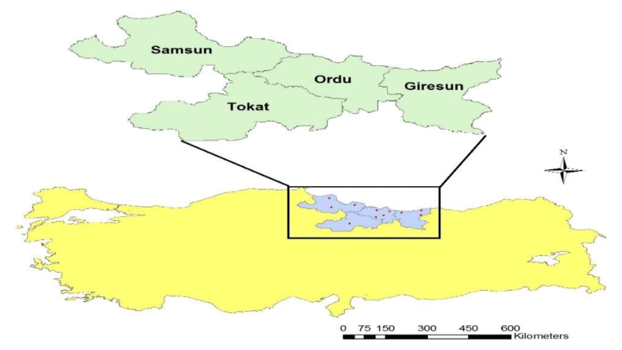 AAB - Genetic diversity and relationship among indigenous Turkish ...