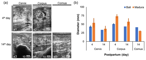 https://aab.copernicus.org/articles/68/1/2025/aab-68-1-2025-f04